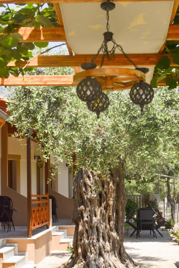 Kapsogeorgis Rooms Koinira Bagian luar foto